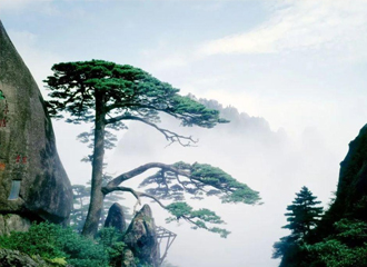 金年会·jinnian(中国区)官方网站