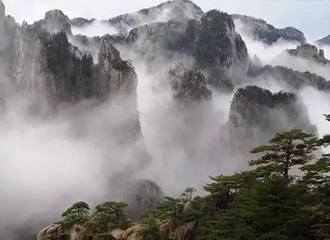 金年会·jinnian(中国区)官方网站